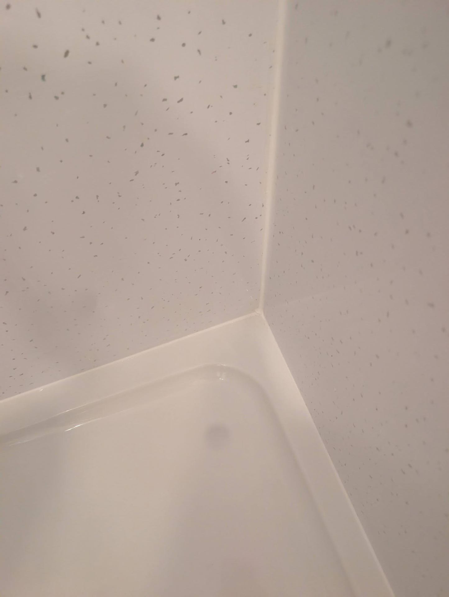 Shower tray — after
