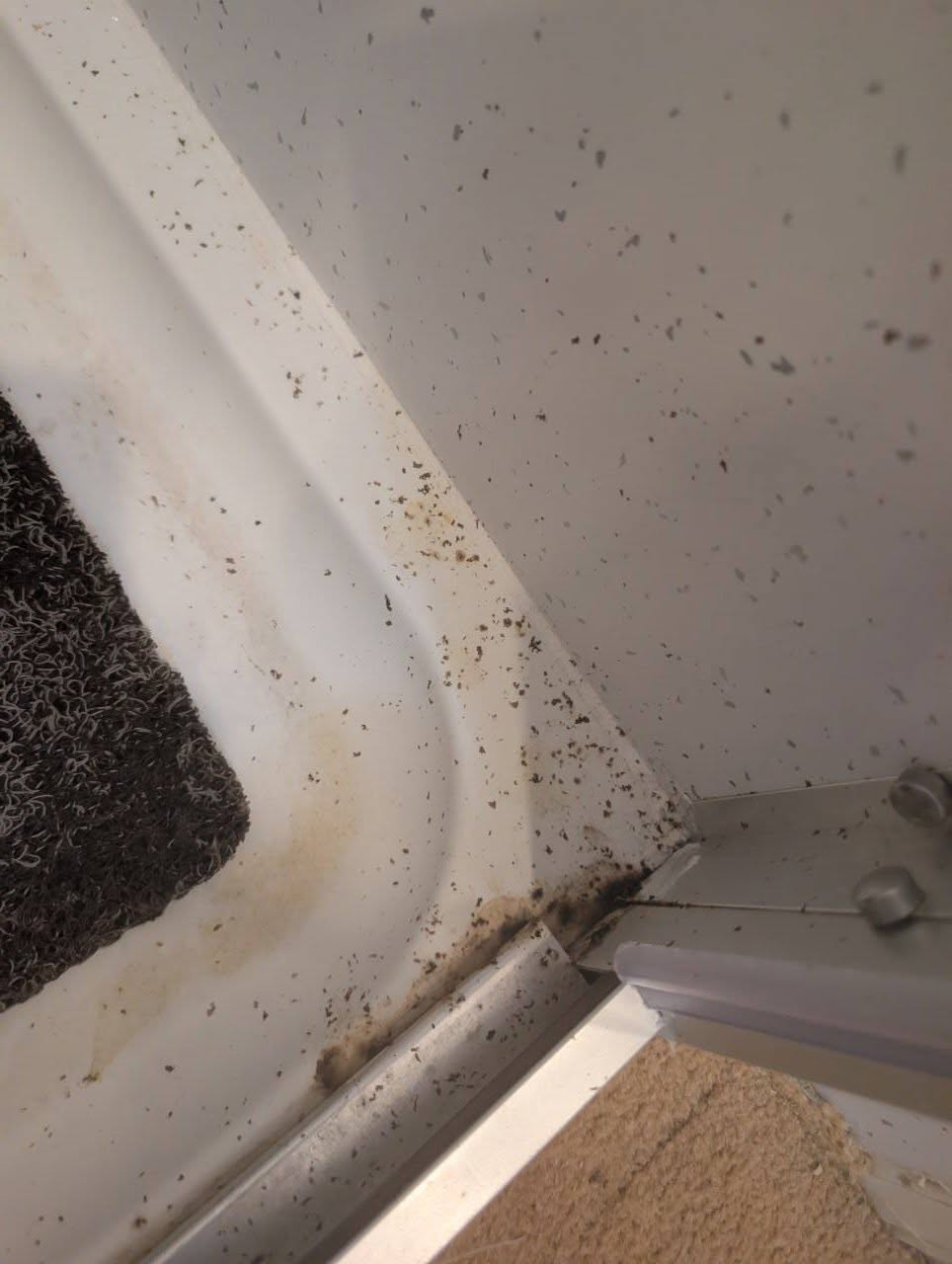 Shower tray — before