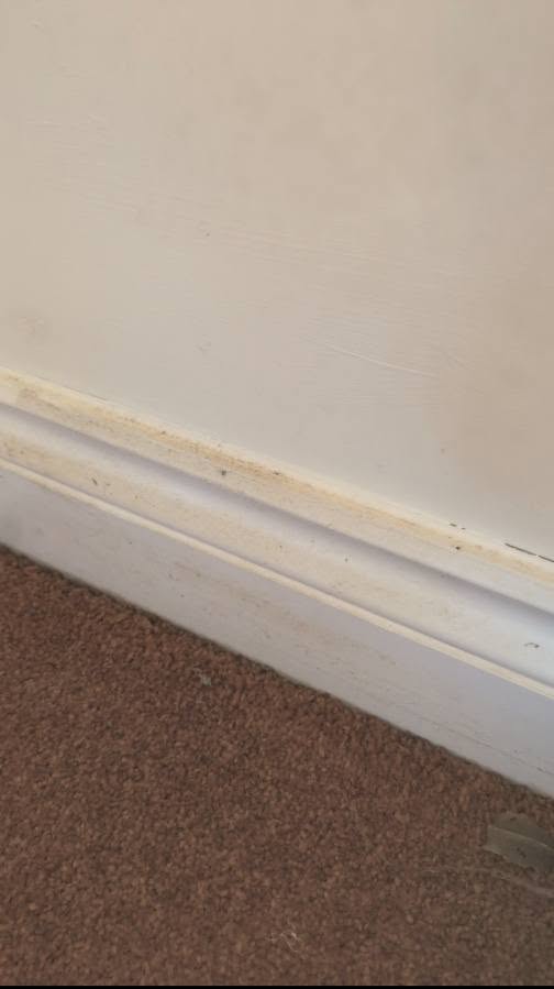 Skirting boards — before